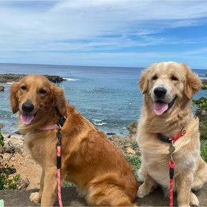 Meet your Posher, Christiana